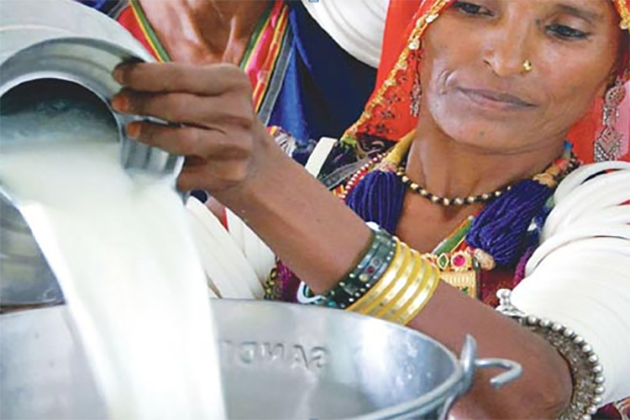 Производство молока в Индии